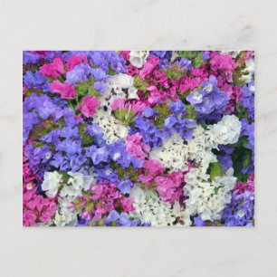 Postal Flores de primavera coloridas