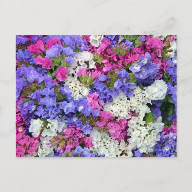Postal Flores de primavera coloridas (Anverso)
