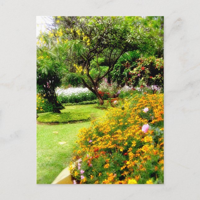 Postal Flores de primavera en Funchal, Madeira (Portugal) (Anverso)