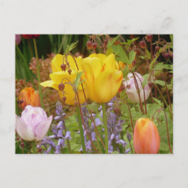 Postal Flores De Primavera En La Postcarta Fronteriza