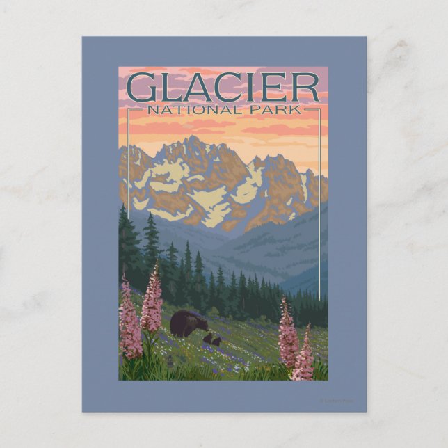 Postal Flores de primavera - Parque nacional de los glaci (Anverso)