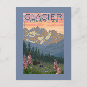 Postal Flores de primavera - Parque nacional de los glaci