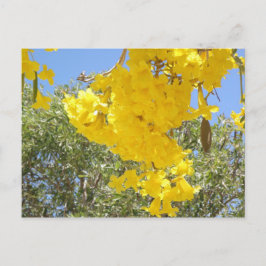 Postal Flores de Puerto Rico