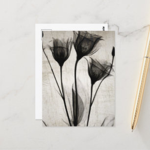 Postal Flores de rayos X antiguas