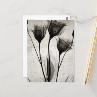 Postal Flores de rayos X antiguas