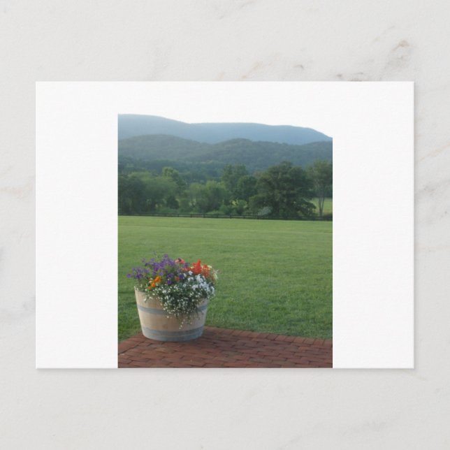 Postal Flores De Ridge Azul (Anverso)