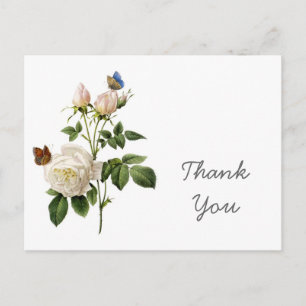 Postal Flores de rosa blanca vintage gracias
