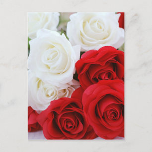 Postal flores de rosa flor blanca roja amor