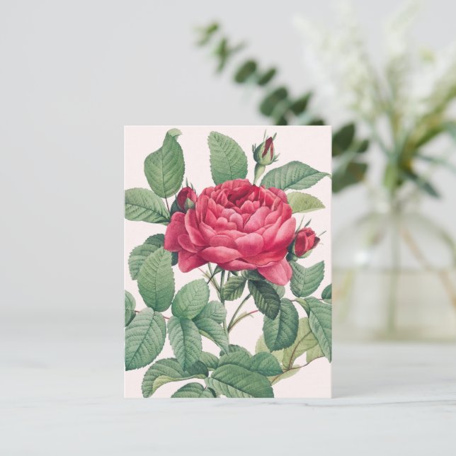 Postal Flores de Rosa Roja con Hojas Verdes GRACIAS (Anverso de pie)