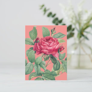 Postal Flores de Rosa Roja con Hojas Verdes GRACIAS