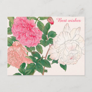 Postal Flores de rosa rosadas y blancas Hojas verdes Mejo