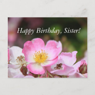 Postal flores de rosa silvestre rosado para las mujeres