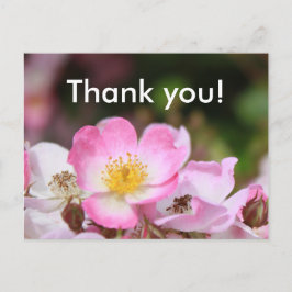 Postal flores de rosa silvestre rosado para las mujeres