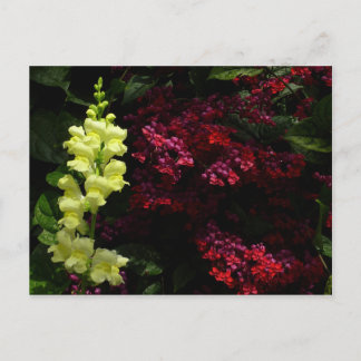 Postal Flores de Snapdragon y Pagoda coloridas