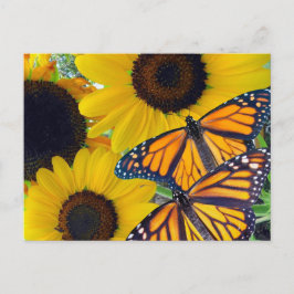 Postal Flores de sol y mariposas monarcas