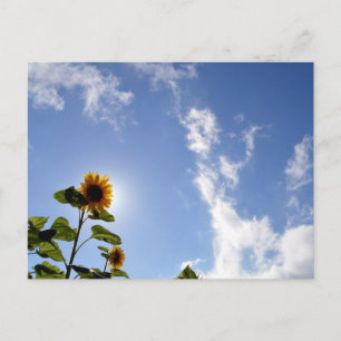 Postal Flores de sol y sol