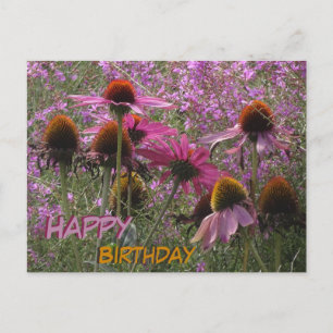 Postal Flores de Sombrero de Sol Texto Personalizado Tarj