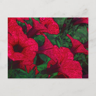 Postal Flores de Tapiz: Fuschia