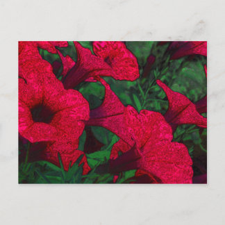 Postal Flores de Tapiz: Fuschia