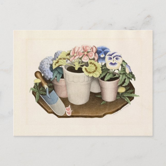 Postal Flores de teja por Grant Wood (Anverso)