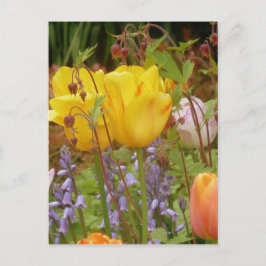 Postal Flores De Tensión