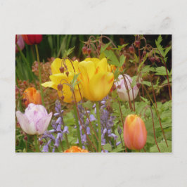 Postal Flores De Tensión