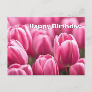 Postal Flores de Tulipán Rosa Vibrante Cumpleaños Feliz
