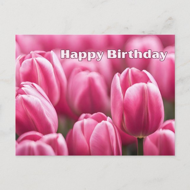 Postal Flores de Tulipán Rosa Vibrante Cumpleaños Feliz (Anverso)