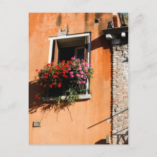 Postal Flores de ventana