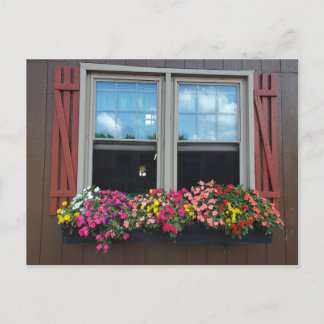 Postal Flores de verano