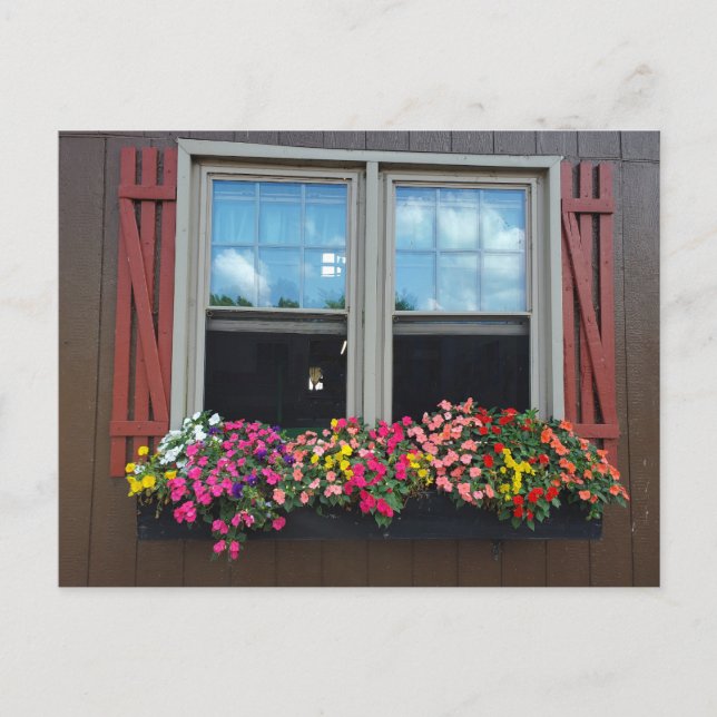 Postal Flores de verano (Anverso)