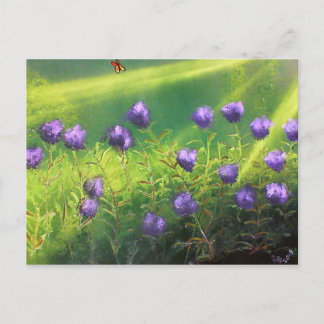Postal Flores de verano