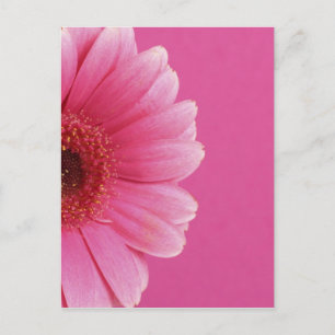 Postal Flores de verano