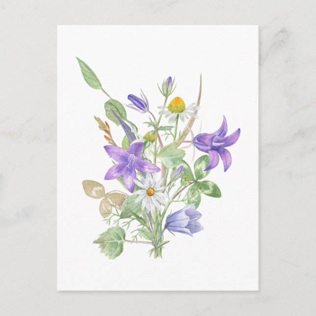 Postal Flores de verano acuarelas (Anverso)