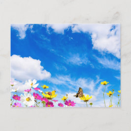 Postal Flores de verano y cielo