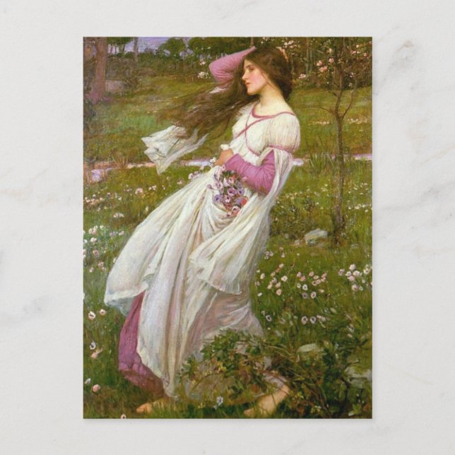 Postal Flores de viento (Anverso)
