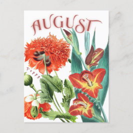 Postal Flores del mes de agosto Gladiolus & Poppy Fancy