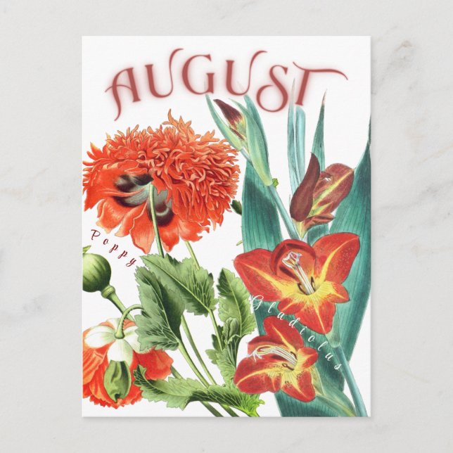 Postal Flores del mes de agosto Gladiolus & Poppy Fancy (Anverso)