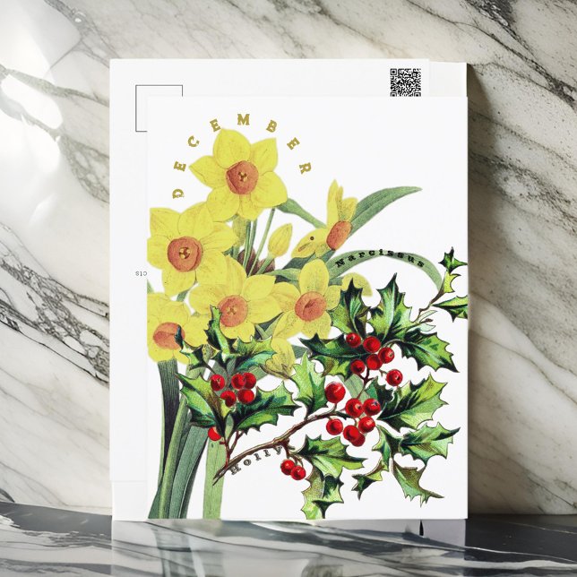 Postal Flores del mes de diciembre Narcissus y Holly (Subido por el creador)