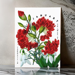 Postal Flores del Mes de Enero Galanthus Carnation