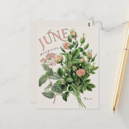 Postal Flores del Mes de Junio Madreselva Rosa Beige
