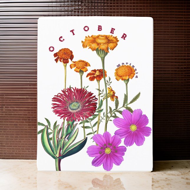 Postal Flores del mes de octubre Marigold y Cosmos | (Subido por el creador)