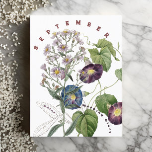 Postal Flores del mes de septiembre Aster & Morning Glory