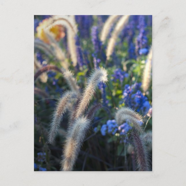 Postal Flores del Prado Soñador (Anverso)
