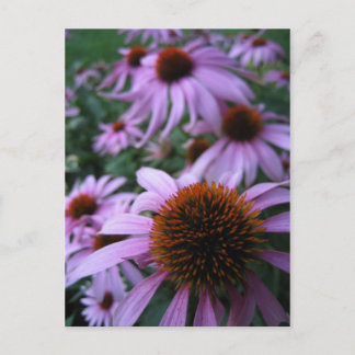 Postal Flores divertidas