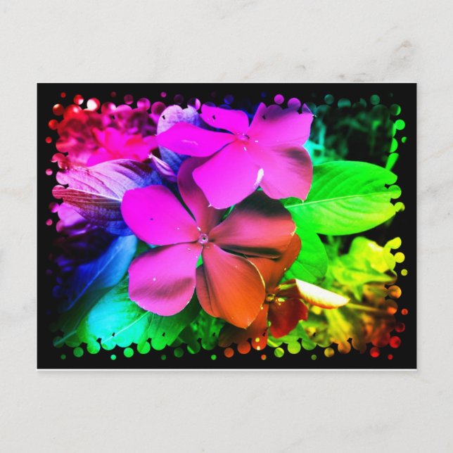 Postal Flores divertidas y divertidas (Anverso)