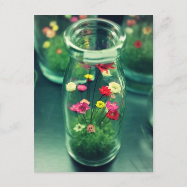 Postal Flores embotelladas (Anverso)