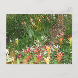 Postal Flores en Aibonito