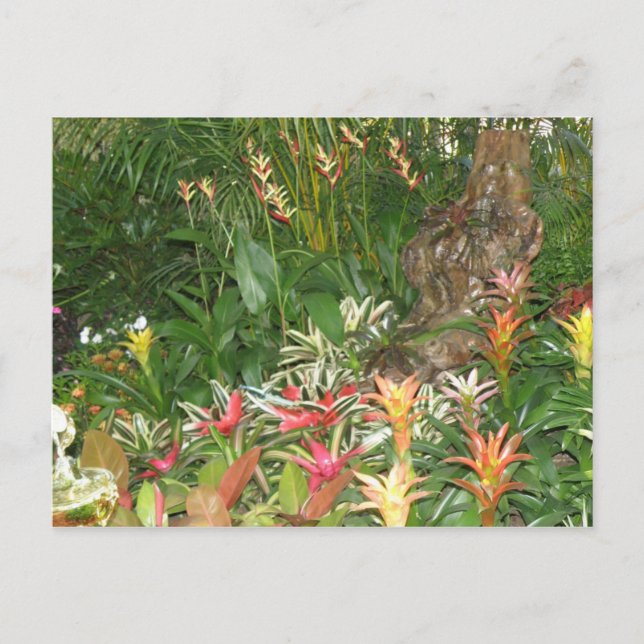 Postal Flores en Aibonito (Anverso)