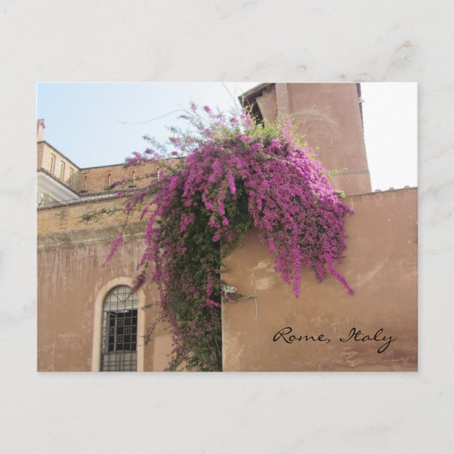 Postal Flores en cascada en un viejo edificio (Anverso)